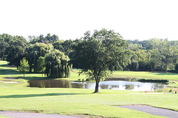 LittleCity46thGolf-B040