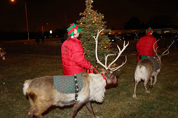 BellaTerraHoliday-C23