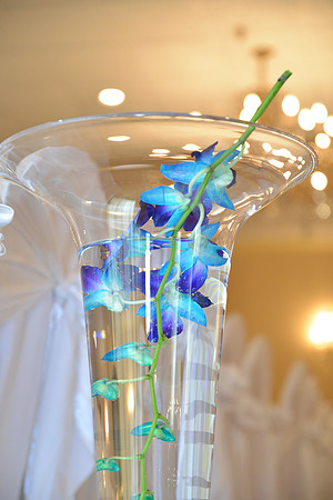 FriedmanWedding-B21
