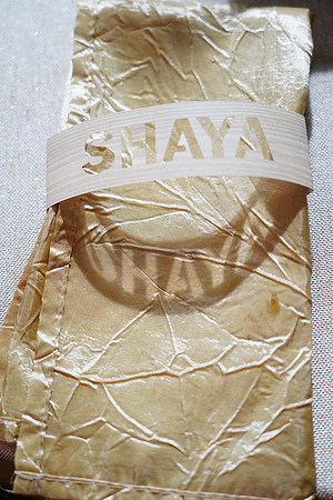ShayaBarMitzvah-A33