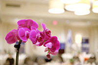 IsraelBondsWDivLunch-A08