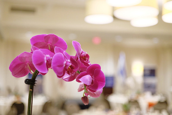 IsraelBondsWDivLunch-A08