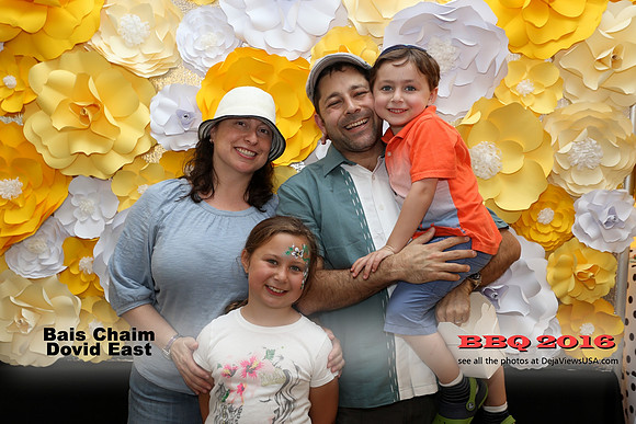 BCDE-BBQ16-38