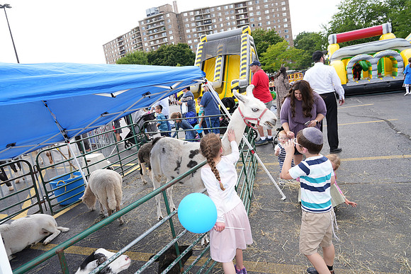 Refuah-A-Fun&Games-A37