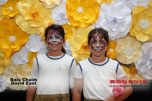 BCDE-BBQ16-43