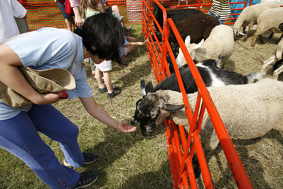 Jewishfest08-B027