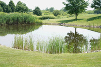 SBACGolf-A013