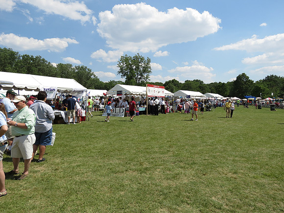ChicagoJewishFestival2012-A048