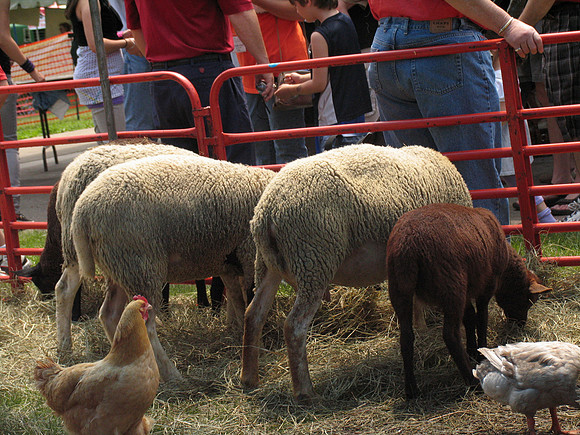 Jewishfest08-A69