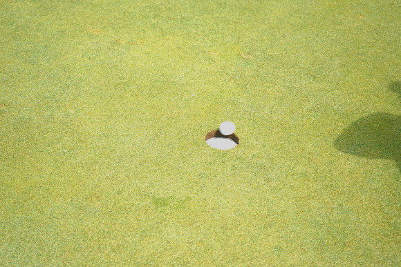 SolomonSchechterGolf-C27
