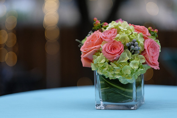 ChaniAviEngagement-A18