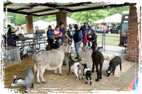 JewishFestival SP09