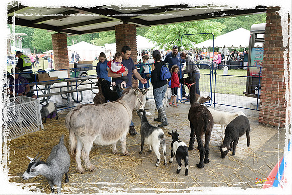 JewishFestival SP09