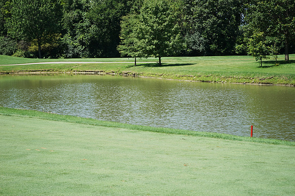 ChooseChicagoGolf-A29