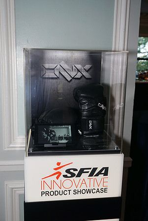 SFIA-00-17