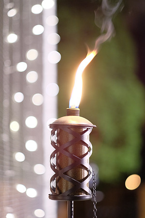 ChaniAviEngagement-A37