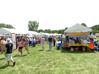 ChicagoJewishFestival2012-A011