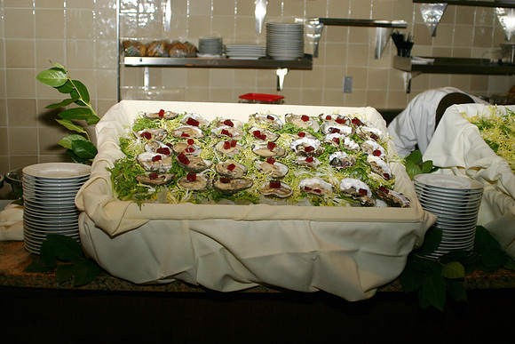 DINE-B23