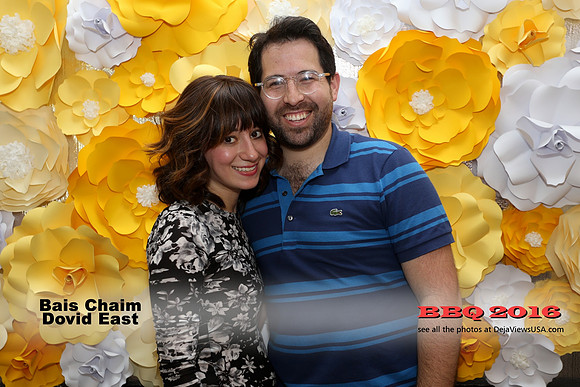 BCDE-BBQ16-26