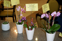 AsburyGardens-A11