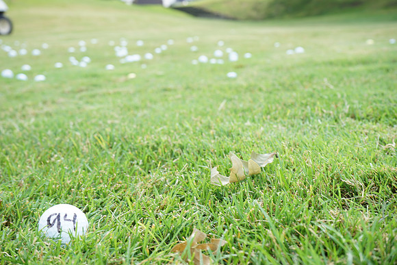 ChooseChicagoGolf-A36