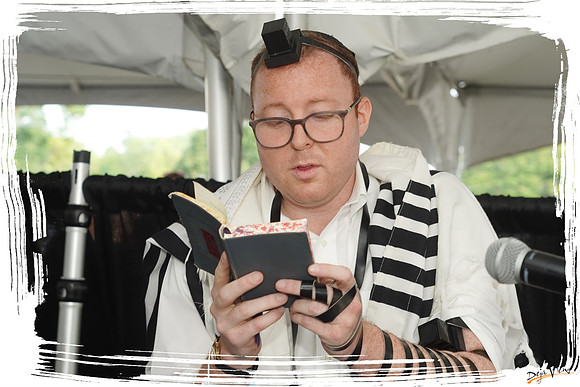 KormanTorah SP10