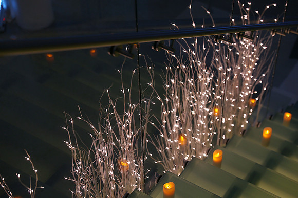StreetervilleChamberHolidayP-A27