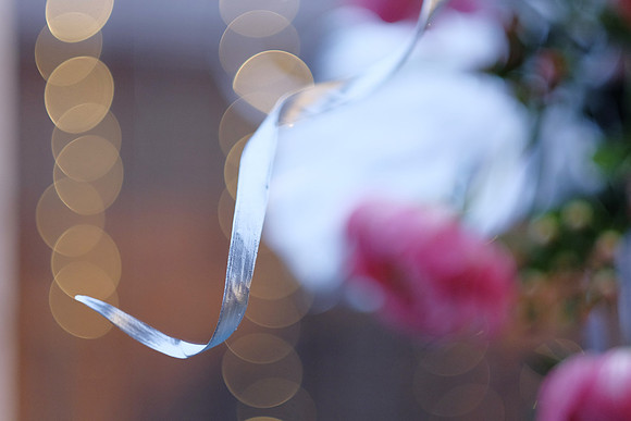 ChaniAviEngagement-A30