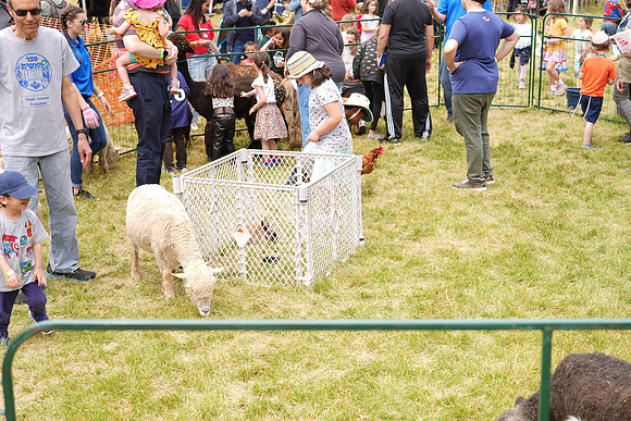 JewishFestival-B093