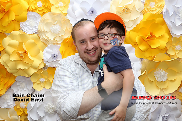 BCDE-BBQ16-14