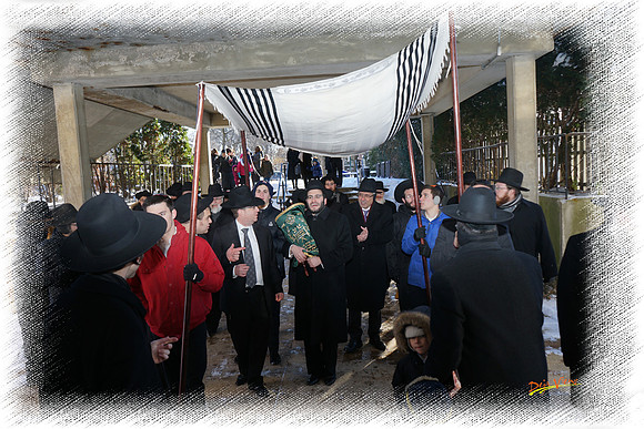LiebensteinTorah SP11