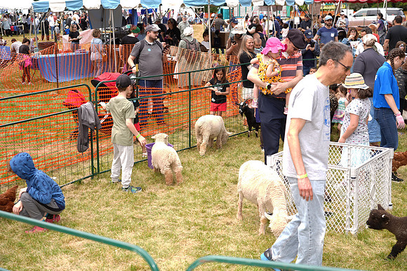 JewishFestival-B094