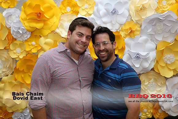 BCDE-BBQ16-41