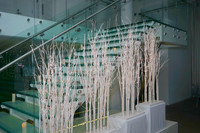 StreetervilleChamberHolidayP-A12