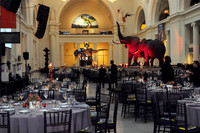 LittleCityGala15-A07