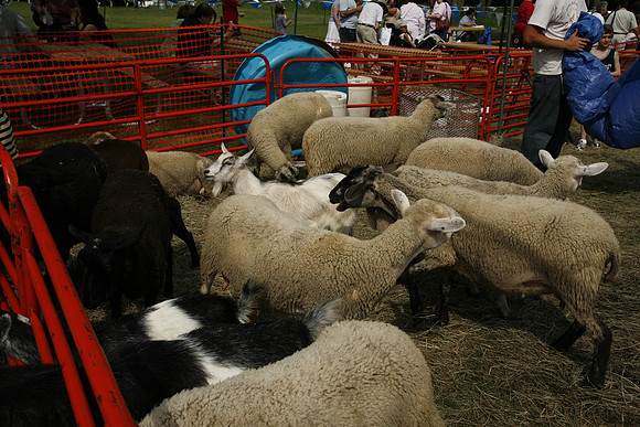 Jewishfest08-B026