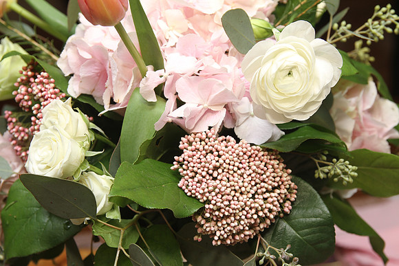 YochevedYankeeEngagement-A09