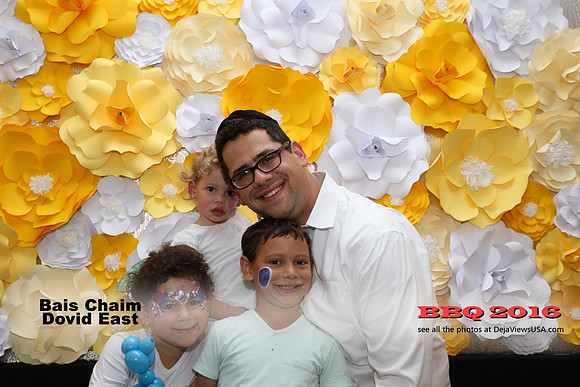 BCDE-BBQ16-10