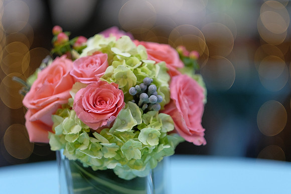 ChaniAviEngagement-A15