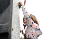 OrTorahNoahsArk-A015