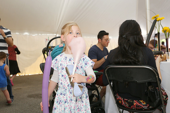 BCDE-2016BBQ-26