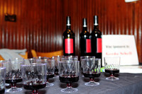 ChildLinkWineFest-A013