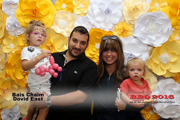BCDE-BBQ16-28