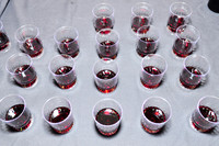 ChildLinkWineFest-A012