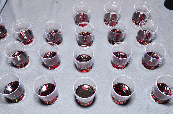 ChildLinkWineFest-A012