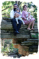 WolfFamily SP06