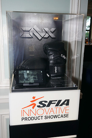 SFIA-00-19