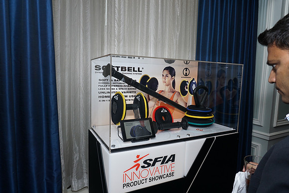 SFIA-00-31