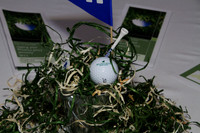 SolomonSchGolf11th-A20