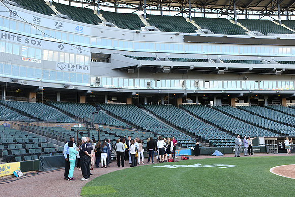 MPICellularField-B048